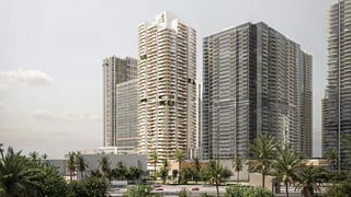 Nine Collective At Wasl 1, picture 3