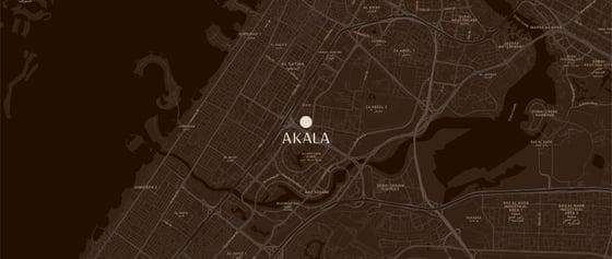 Akala Hotel & Residences At DIFC By Arada, picture 14